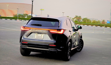 LEXUS NX