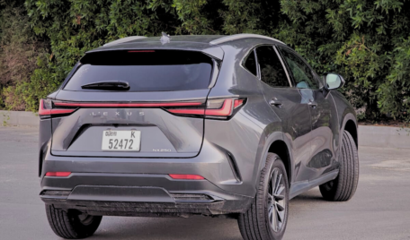 LEXUS NX